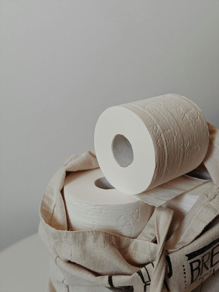 A minimalist shot of toilet paper rolls stacked in a simplistic tote bag, highlighting everyday essentials.